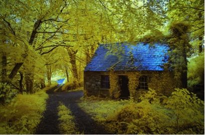 Cottage with blue slate roof